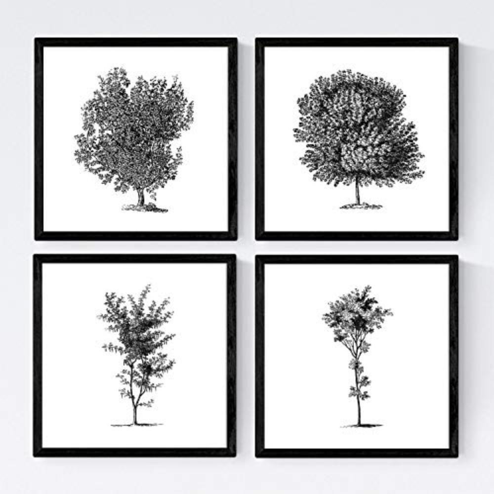 POSTER Set mit 4 Blättern der Baumstämme weißer Hintergrund 20x20cm Schwarzer Rahmen - Schwarz, Papier (20/3cm) - Nacnic