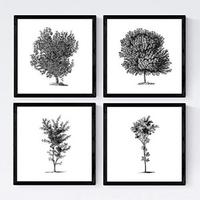 POSTER Set mit 4 Blättern der Baumstämme weißer Hintergrund 20x20cm Schwarzer Rahmen - Schwarz, Papier (20/3cm) - Nacnic