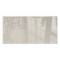 GLASPLATTE für Kamin 100x50 cm - Creme, Glas (100/50/0.4cm) - TULUP