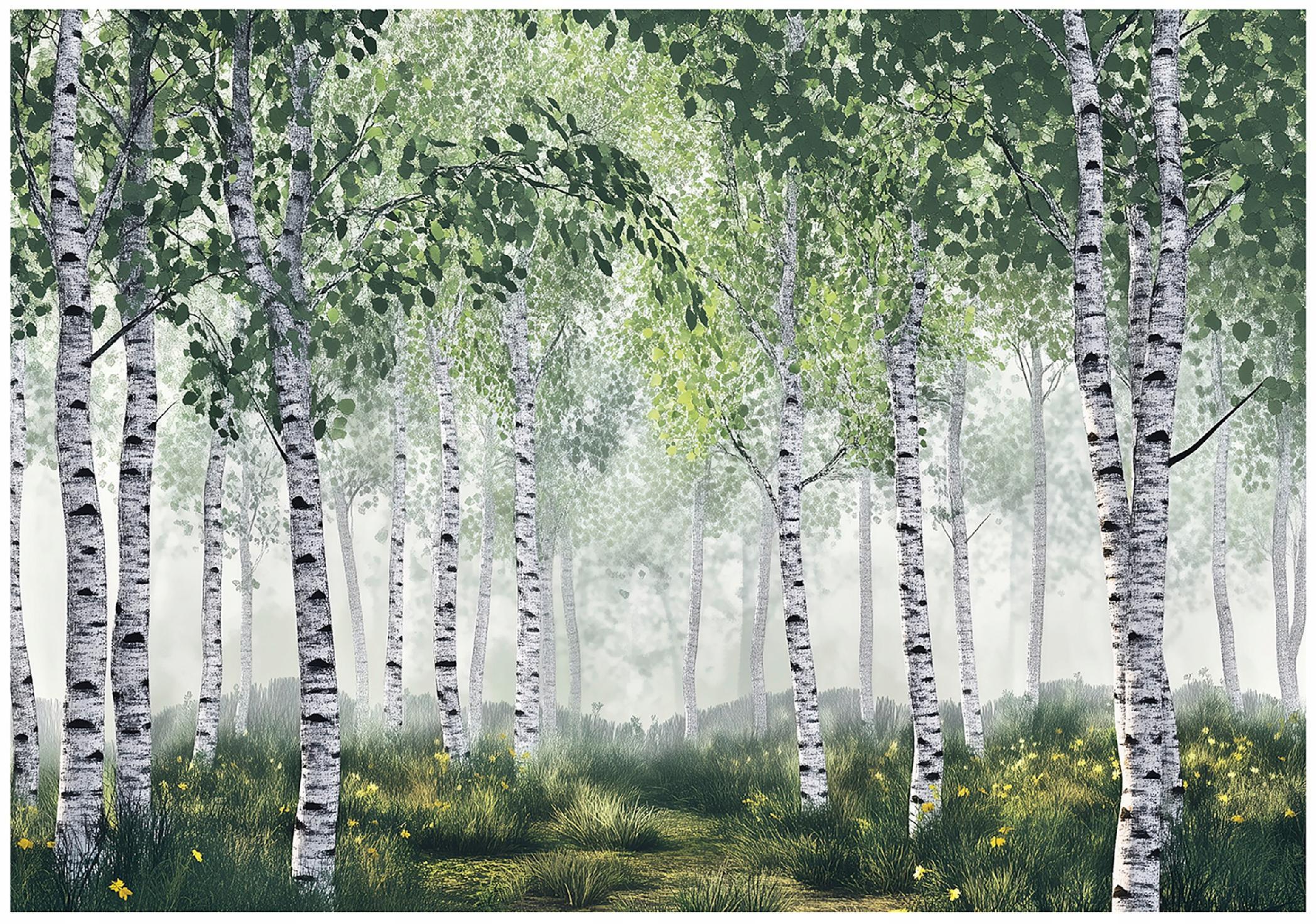 FOTOTAPETE 3D Effekt Wald Birken Bäume Tapete Wohnzimmer 150x105 - Multicolor, Papier (150/105cm) - Wallarena