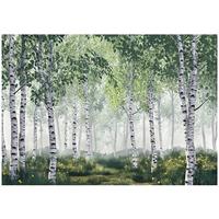 FOTOTAPETE 3D Effekt Wald Birken Bäume Tapete Wohnzimmer 150x105 - Multicolor, Papier (150/105cm) - Wallarena