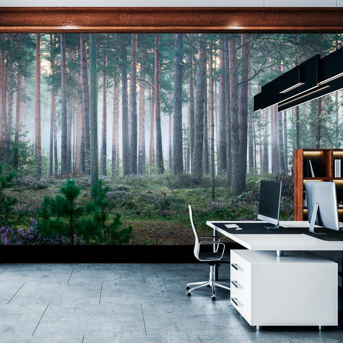 FOTOTAPETE für Wohnzimmer Nebelwald mit Bäumen Moos Grün 450x315 - Grau/Grün, Papier (450/315cm) - Muralo