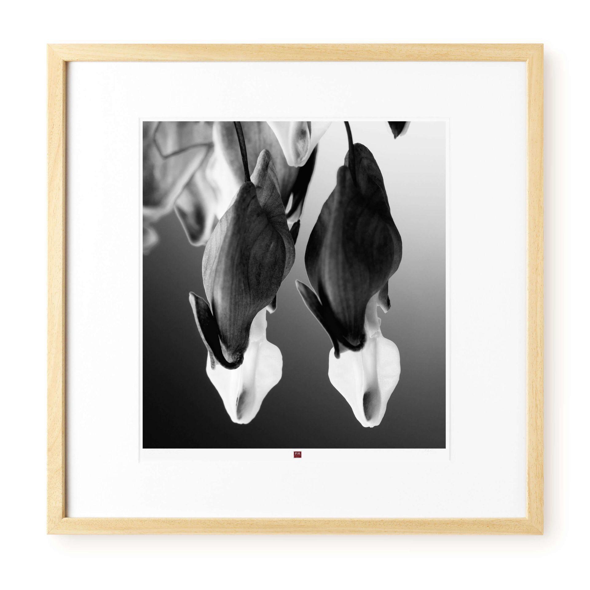 KUNSTDRUCK Schwarz-Weiß 50/50 cm - Schwarz, Glas/Papier (2.4/50cm) - KUNSTLOFT
