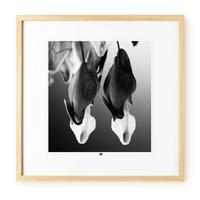 KUNSTDRUCK Schwarz-Weiß 50/50 cm - Schwarz, Glas/Papier (2.4/50cm) - KUNSTLOFT