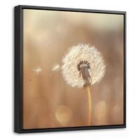 LEINWAND Bilder mit Rahmen - Löwenzahn - Beige - Natur - Blume - 20x20 - Hellbraun, Textil (20/20cm) - MuchoWow