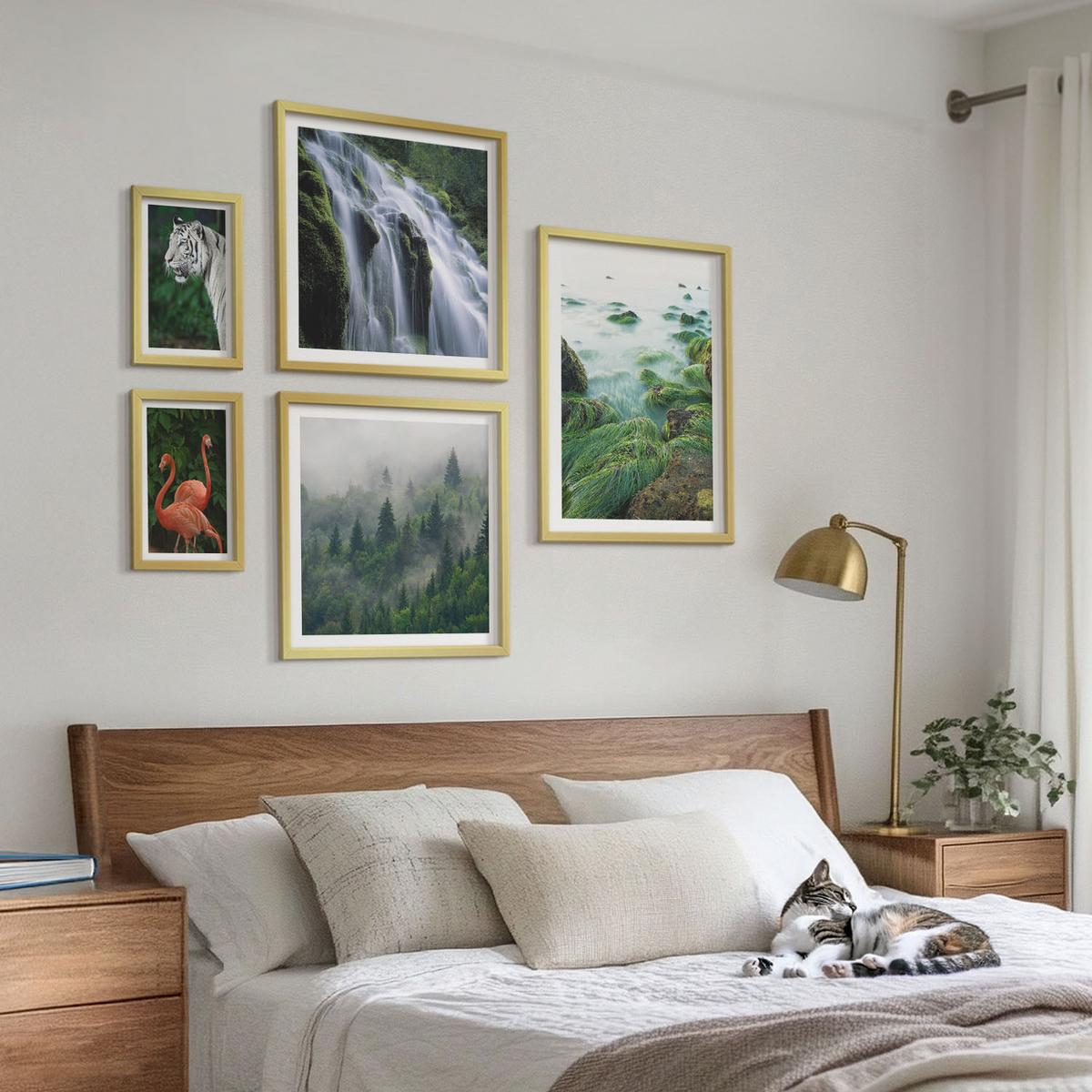 BILDER SET 5er Set - 50x50 cm & 20x30 cm & 40x60 cm Goldrahmen - Tiger Wasserfall Flamingos Natur - Goldfarben, Kunststoff (40/60cm) - TULUP