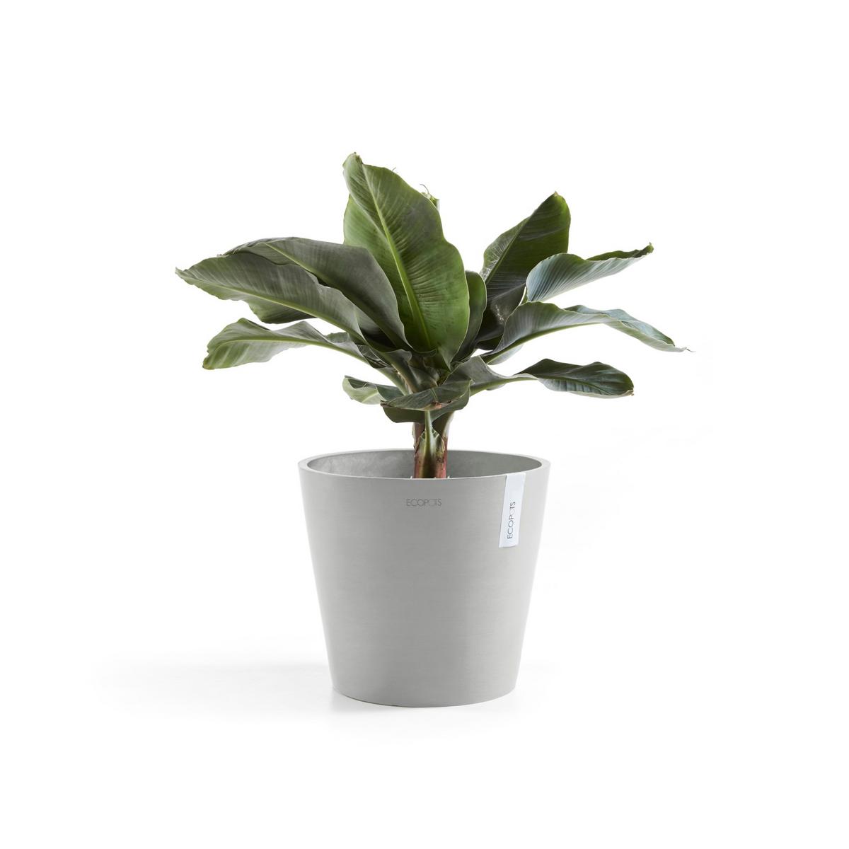 BLUMENTOPF mit Wasserreservoir Amsterdam 30/25,9 cm Hellgrau - Hellgrau, Kunststoff (30/25.9cm) - Ecopots