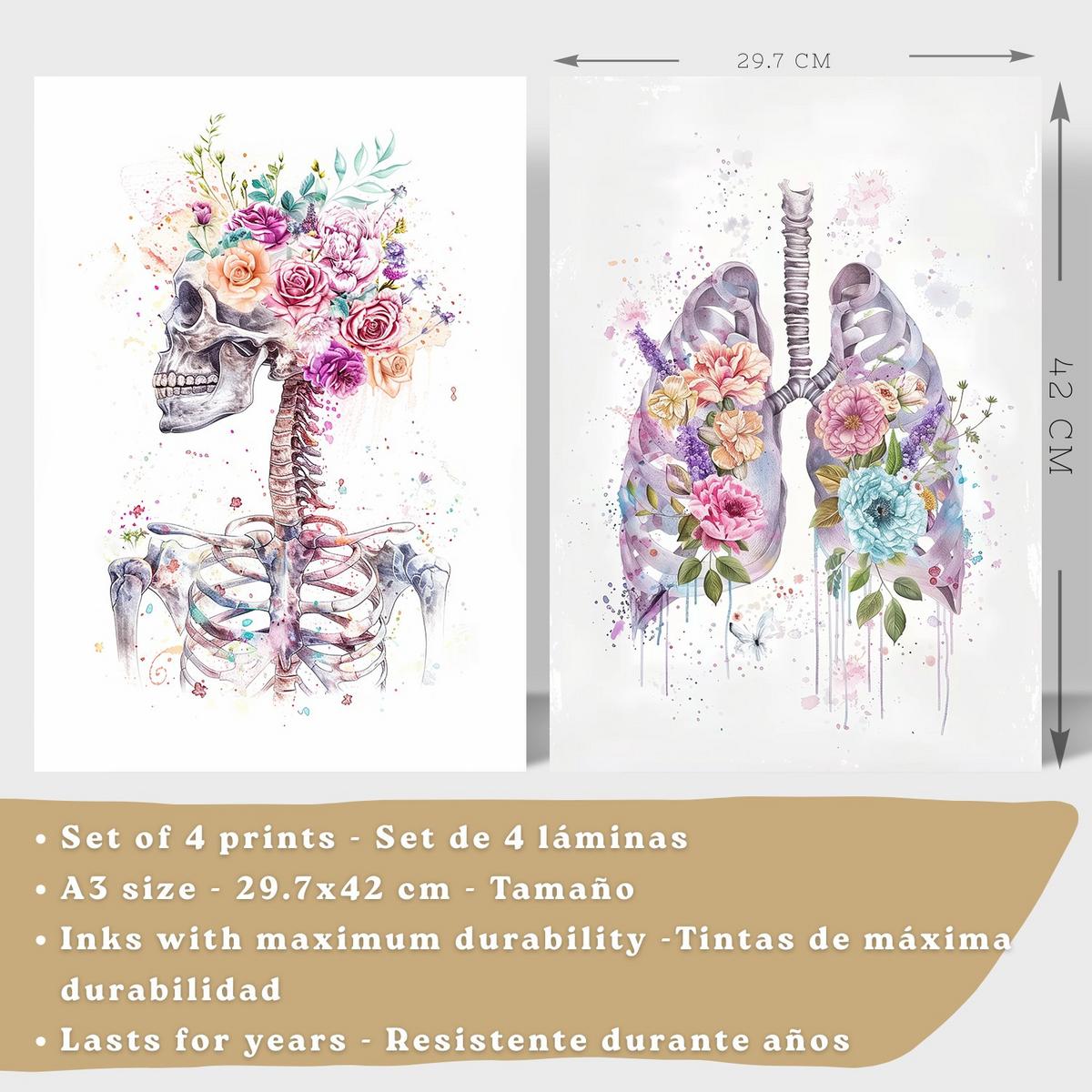 POSTER Set aus 4 Anatomie Mensch Drucke und mit Schädel Lungen Verdauungssystem und Gehirn Florales Aquarell Design Größe Schwarzer Rahmen A3 - Schwarz, Papier (29.7/42/3cm) - Nacnic