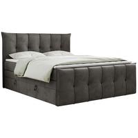 BOXSPRINGBETT PREMIUM 11 KING 120/200 Hellgrau Velvet - H4 - Grau, Holz/Textil (120/200cm) - MKS