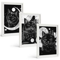 BILDER SET 3er Set - 40x60 cm Weißer Rahmen - Schwarze Katzen, Mond, Weltraum - Weiß, Kunststoff (40/60cm) - TULUP