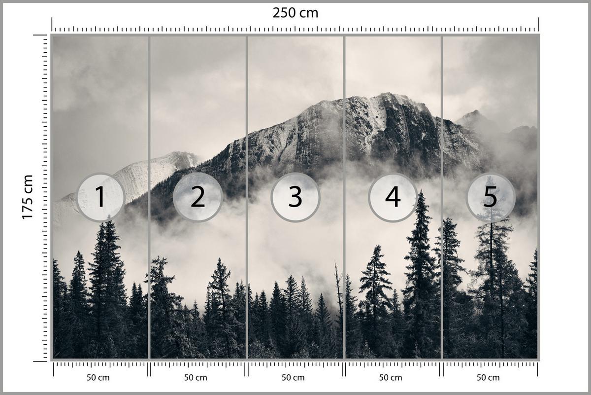 FOTOTAPETE für Wohnzimmer Nadelwald im Nebel im Hintergrund Berge 250x175 - Beige/Schwarz, Papier (250/175cm) - Muralo