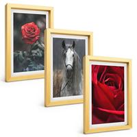 BILDER SET 3er Set - 20x30 cm Goldrahmen - Rote Rosen, Pferdegrau, Welt - Goldfarben, Kunststoff (20/30cm) - TULUP
