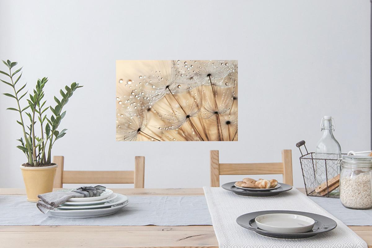 WANDTATTOO Löwenzahn - Abstrakt - Natur - Beige Deko Wohnzimmer 60x40 cm - Braun, Kunststoff (60/40/0.1cm) - MuchoWow