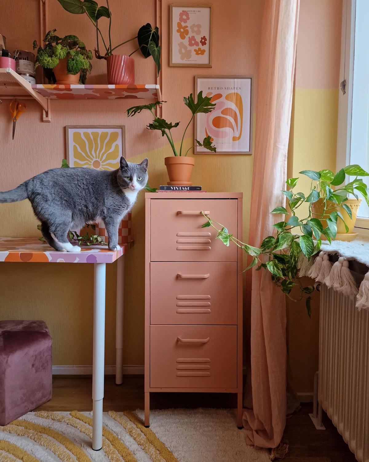 AKTENSCHRANK pfirsichrosa Wostok - Pink, Metall (43/103/40cm) - Beliani