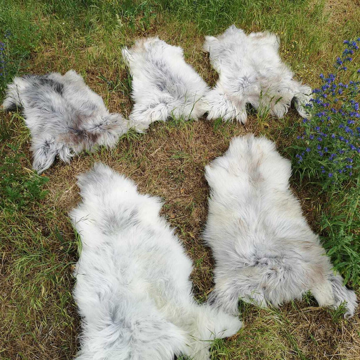 LAMMFELL Schnuckenfell Naturfarbe Langwolle Schwedisch ca. 120 cm - Weiß/Braun, Fell (60/120cm) - Provellus