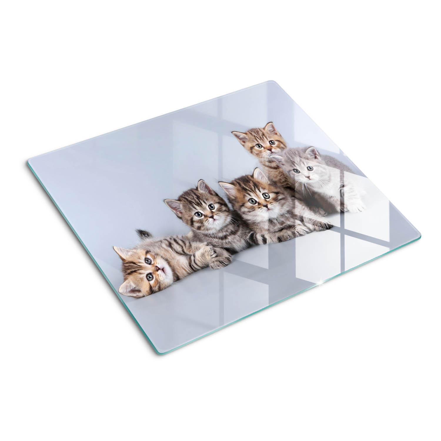 GLASPLATTE 60x52 cm Fünf Katzen - Grau/Grün, Glas (60/52cm) - TULUP