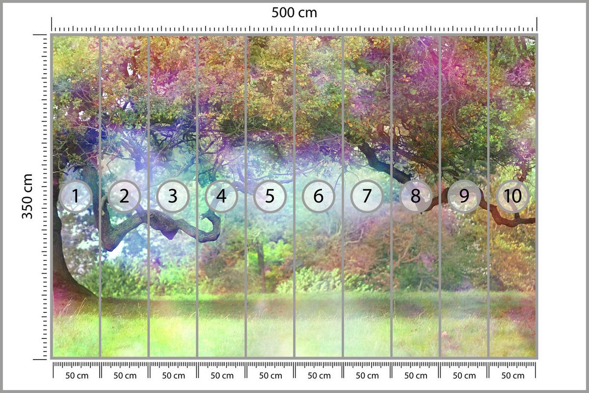 FOTOTAPETE für Kinderzimmer Magischer Bunter Wald Bäume Sträucher Blätter Pflanzen 500x350 - Gelb/Rot, Papier (500/350cm) - Muralo
