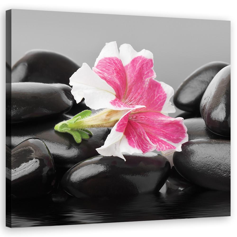 WANDBILD rosa blume auf zen stones - Schwarz, Textil (30/30cm) - Feeby