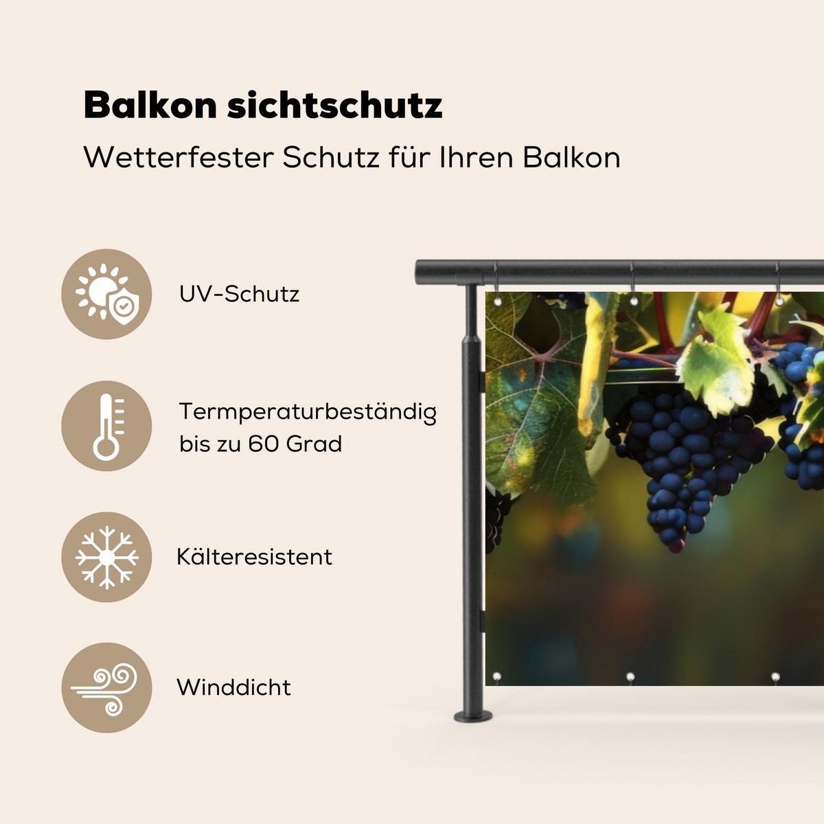 BALKON-SICHTSCHUTZ Trauben - Wein - Natur - Grün Windschutz 300x95 cm - Weinrot, Kunststoff (300/95cm) - MuchoWow