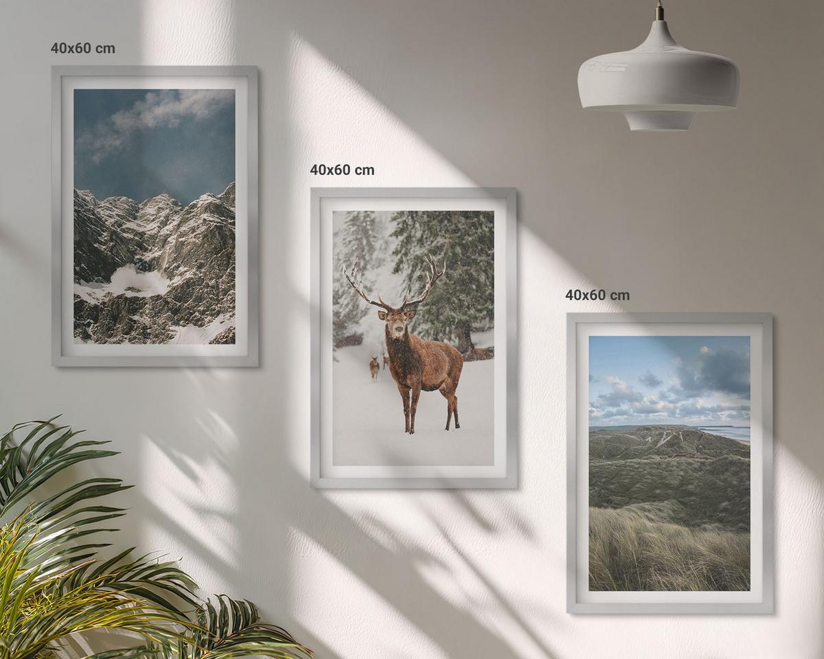 BILDER SET 3er Set - 40x60 cm Silberner Rahmen - Berge, Schnee, Hirsche, Waldlandschaft - Silberfarben, Kunststoff (40/60cm) - TULUP