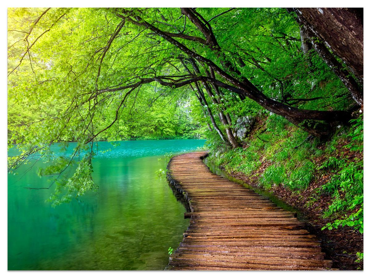 FOTOTAPETE für Wohnzimmer Holzsteg See Bäume Pflanzen Natur 250x175 - Türkis/Braun, Papier (250/175cm) - Muralo