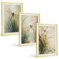 BILDER SET 3er Set - 40x60 cm Goldrahmen - Libellengräser über dem Wasser - Goldfarben, Kunststoff (40/60cm) - TULUP