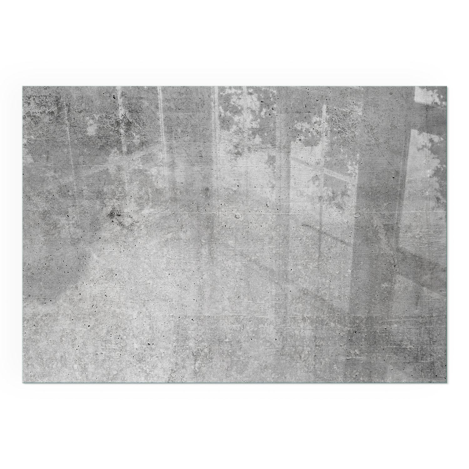 GLASPLATTE für Kamin 100x70 cm - Grau, Glas (100/70/0.4cm) - TULUP