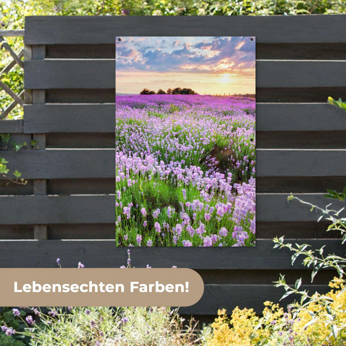 GARTENPOSTER Blumen - Lavendel - Lila - Himmel - Sonnenuntergang - Wiese - Natur Outdoor Bilder 80x120 cm - Flieder, Kunststoff (80/120/0.2cm) - OnlyWow