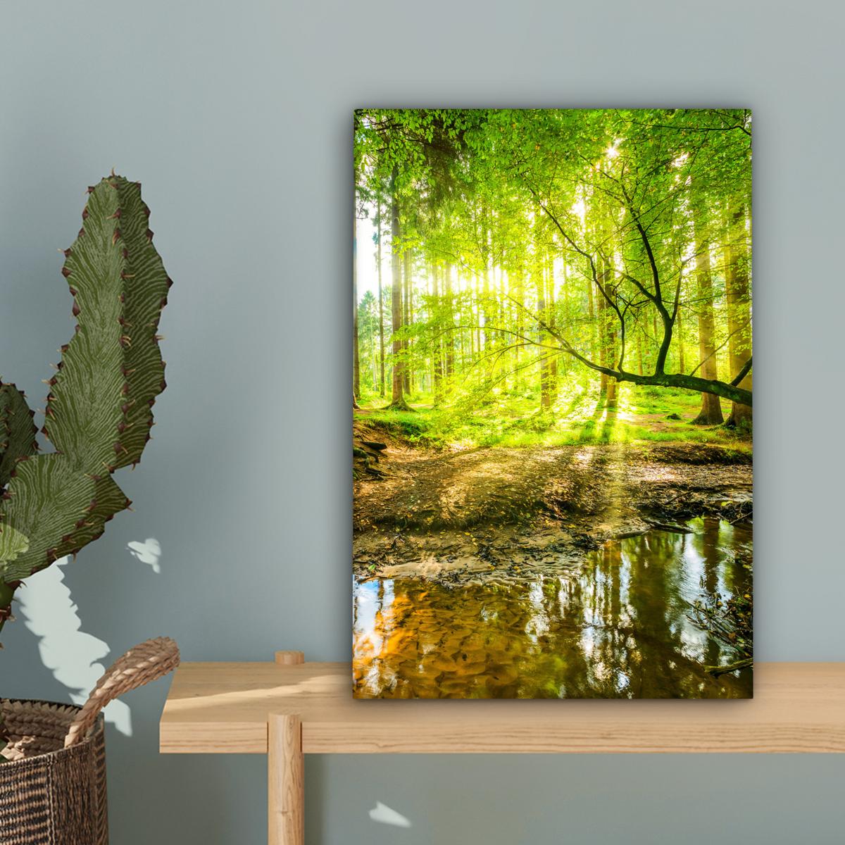LEINWANDBILD Wald - Landschaft - Wasser - Bäume - Sonne - Grün - Natur Deko Wohnzimmer 20x30 cm - Grün, Textil (20/30cm) - MuchoWow