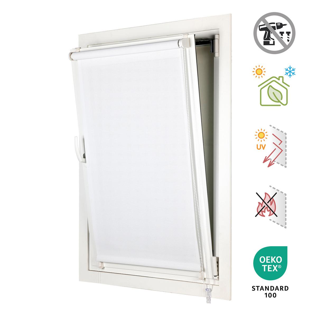 SCREEN-ROLLO without drilling Weiß, 60X180 - Weiß, Kunststoff (60/180cm) - STORESDECO