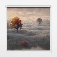 INNENROLLO - Fensterrollo - Rollo - 60x40 cm - Bäume im Nebel - Grau, Kunststoff (60/140/0.5cm) - TULUP
