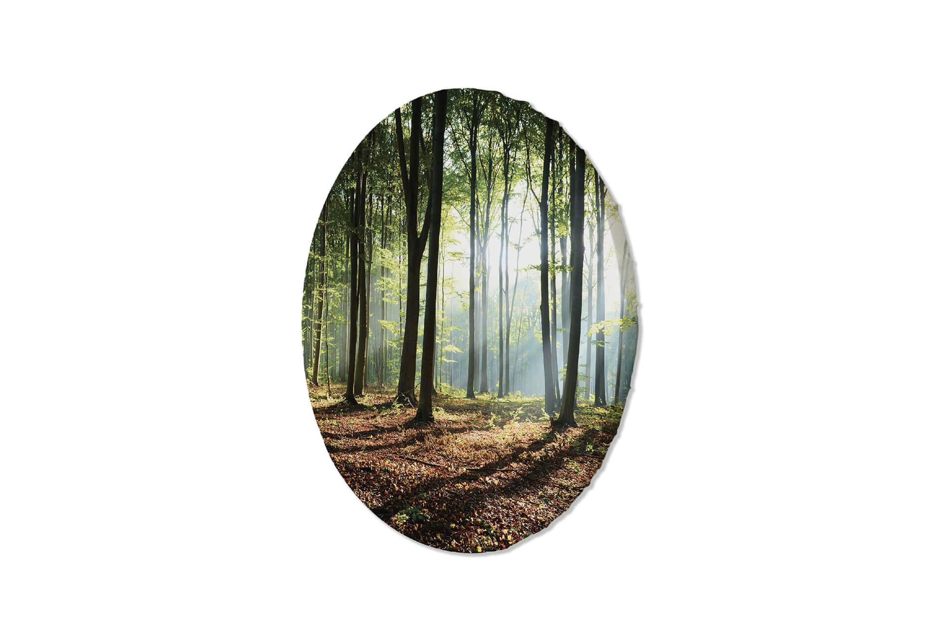 RUNDES BILD Grün 40/40 cm - Braun/Grün, Textil (40/40cm) - KUNSTLOFT