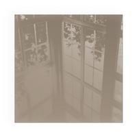GLASPLATTE für Kamin 60x60 cm - Braun, Glas (60/60/0.4cm) - TULUP
