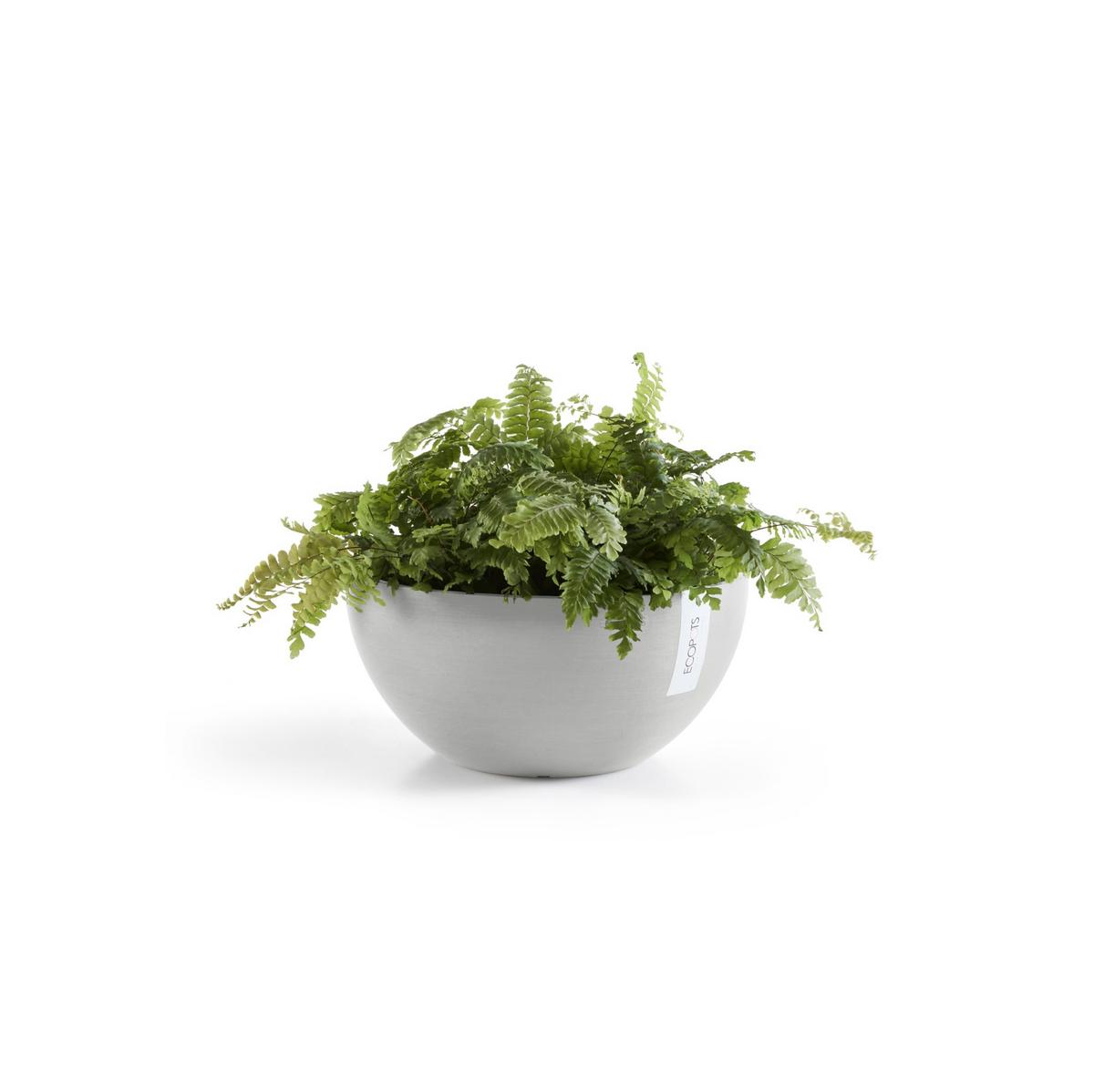 BLUMENTOPF Brussels 25/12 cm Hellgrau - Hellgrau, Kunststoff (25/12cm) - Ecopots