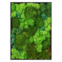 MOOSBILD Rechteck 38 x 27 cm Mooswand Indoor mit echtem echtem Kugelmoos-Islandmoos-Flachmoos-Mix und Holzrahmen Grün - Waldgrün, Naturmaterialien (27/38/3.5cm) - ECD-Germany