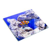 GLASPLATTE 60x52 cm Nemos Korallenriff - Orange, Glas (60/52cm) - TULUP