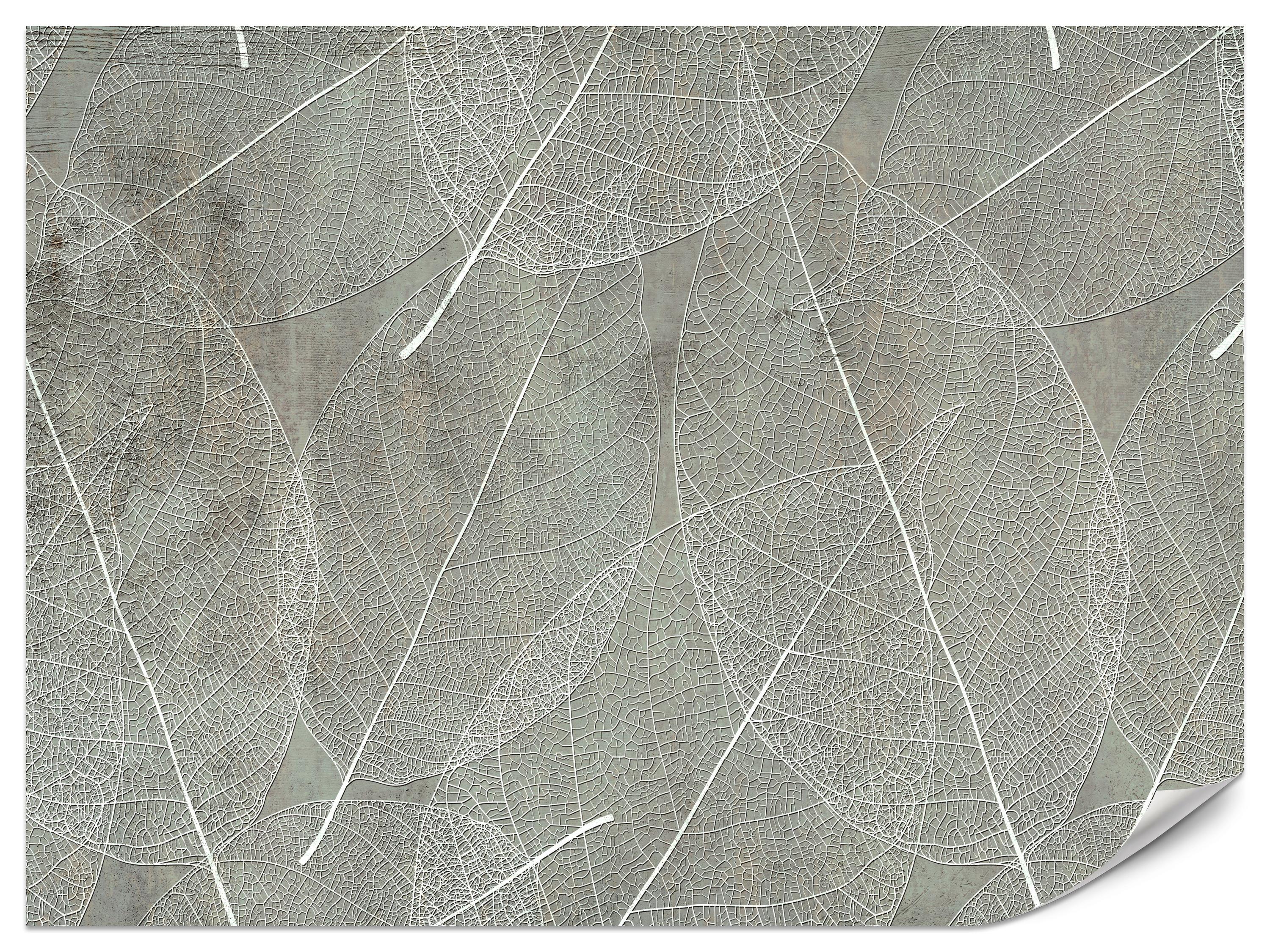 FOTOTAPETE für Schlafzimmer Weiße Blätter auf Beton 100x70 - Weiß/Grau, Papier (100/70cm) - Muralo