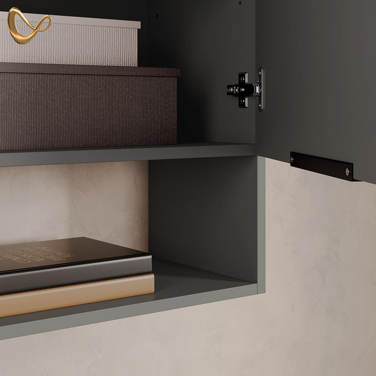HÄNGESCHRANK Piave Anthrazit 60 x 100 cm mit Tür - Anthrazit, Holzwerkstoff (60/100/30cm) - Livinity®