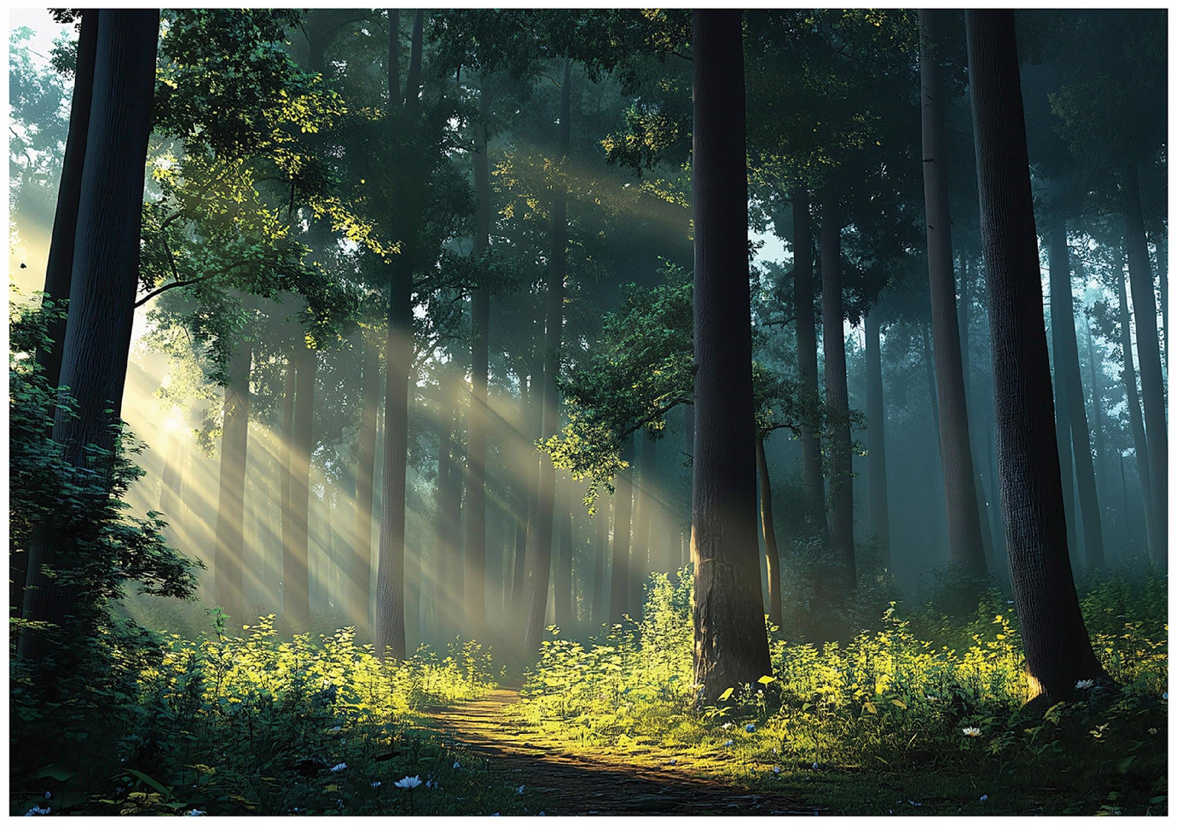 FOTOTAPETE Wald Sonne Natur Wohnzimmer Vlies Tapete 300x210 - Multicolor, Papier (300/210cm) - Wallarena
