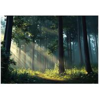 FOTOTAPETE Wald Sonne Natur Wohnzimmer Vlies Tapete 300x210 - Multicolor, Papier (300/210cm) - Wallarena