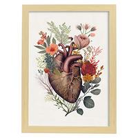 POSTER Anatomie Herz A3 Rahmen Aus Hellem Holz - Beige, Papier (29.7/5/42cm) - Nacnic