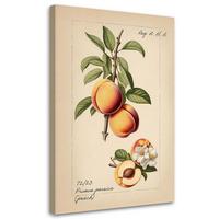 KUNSTDRUCK Beige 40/60 cm - Beige, Textil (40/60cm) - KUNSTLOFT