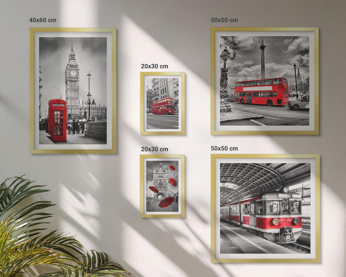 BILDER SET 5er Set - 50x50 cm & 20x30 cm & 40x60 cm Goldrahmen - Tropischer Wald Papageienwasserfall - Goldfarben, Kunststoff (40/60cm) - TULUP