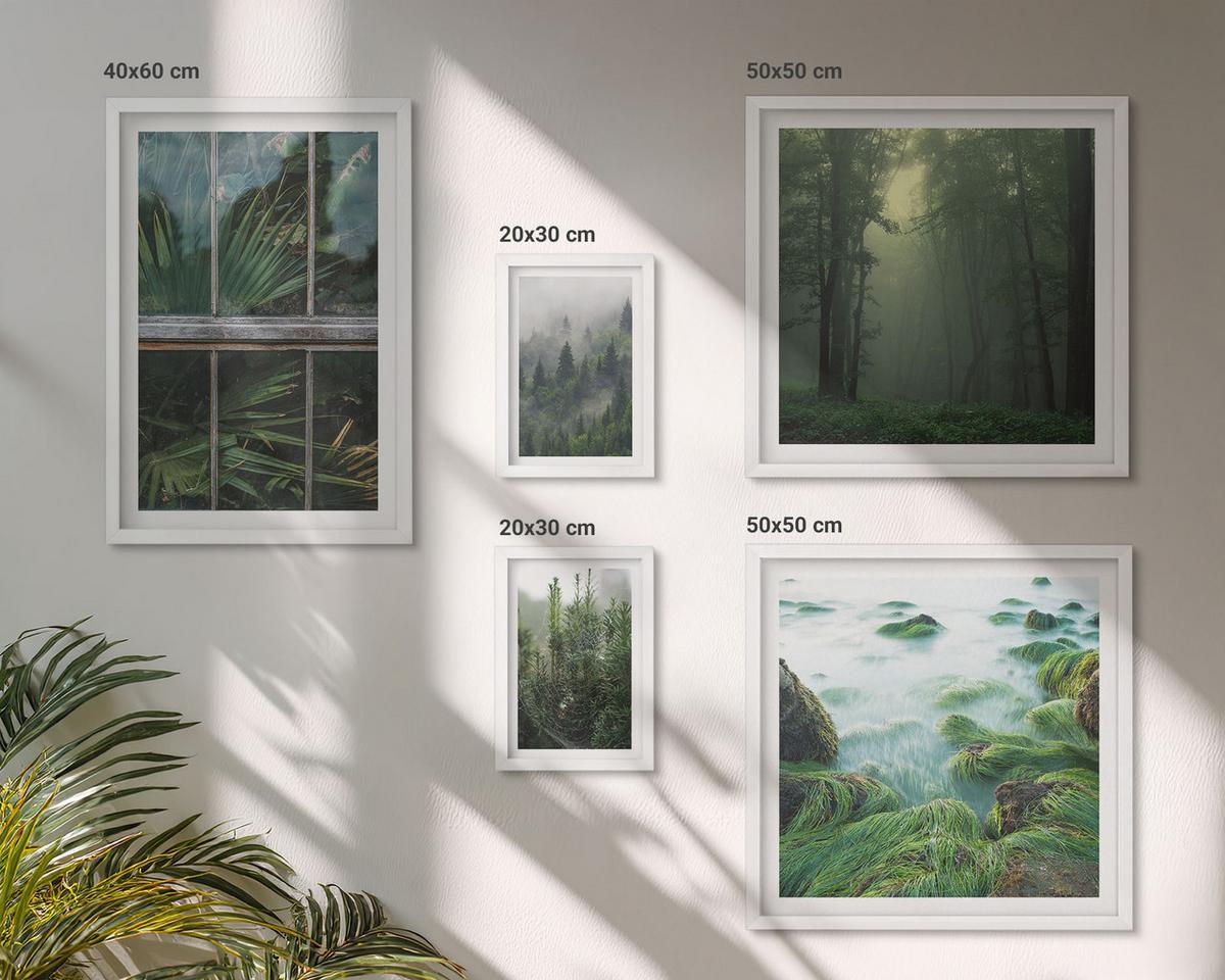 BILDER SET 5er Set - 50x50 cm & 20x30 cm & 40x60 cm Weißer Rahmen - Nahaufnahmen von Blättern sukkulenter Pflanzen - Weiß, Kunststoff (40/60cm) - TULUP