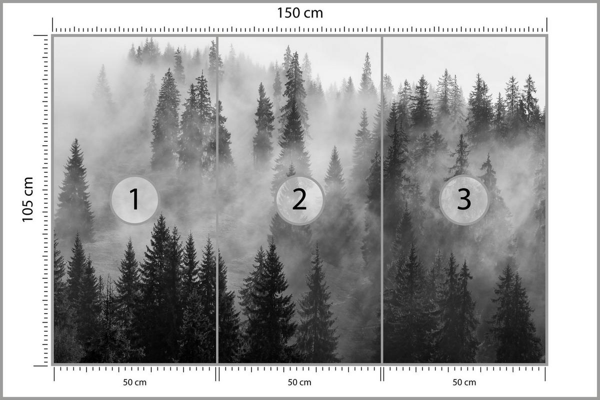 FOTOTAPETE Schwarz-weißer Wald im Nebel Natur 150x105 - Schwarz/Grau, Papier (150/105cm) - Muralo