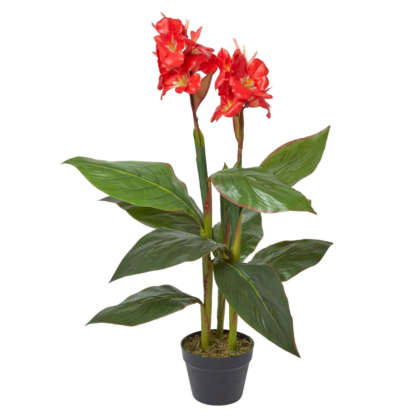 KUNSTBLUME Blumenrohr rot, 90 cm - Rot, Kunststoff (90cm) - Homescapes