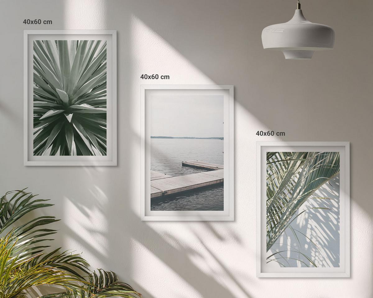 BILDER SET 3er Set - 40x60 cm Weißer Rahmen - Palmenblätter-Holzbrücke - Weiß, Kunststoff (40/60cm) - TULUP