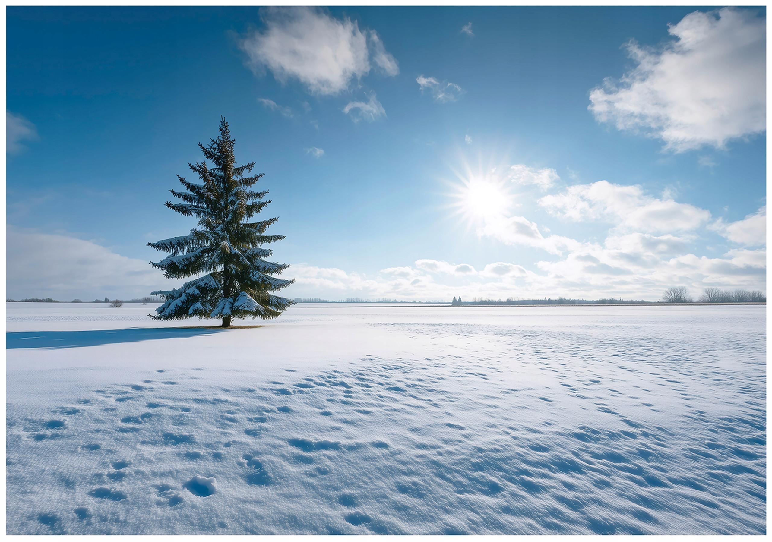 FOTOTAPETE Feld Natur Blau 150x105 cm - Multicolor, Papier (150/105cm) - Wallarena