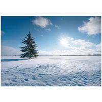 FOTOTAPETE Feld Natur Blau 150x105 cm - Multicolor, Papier (150/105cm) - Wallarena
