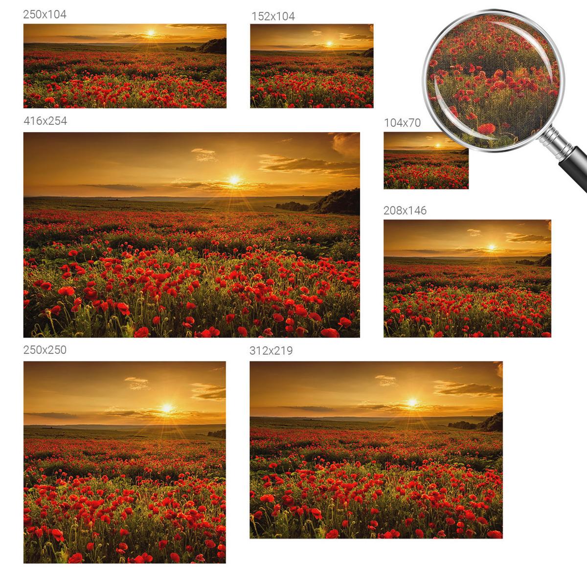 FOTOTAPETE 416x254 cm - Mohnfeld - Rot, Textil (416/254cm) - Wallfluent